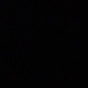 Meet your Posher, Wanda